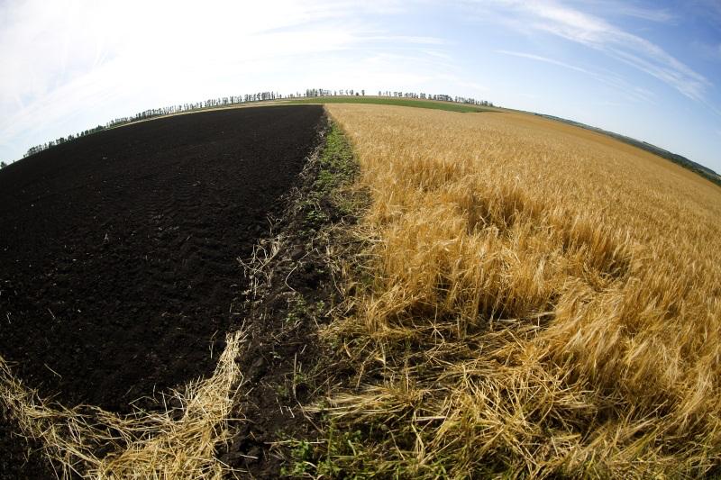 В Иркутской области ликвидировано 35 свалок и возвращено в сельхозоборот 17 тыс В Иркутской области ликвидировано 35 свалок и возвращено в сельхозоборот 17 тыс