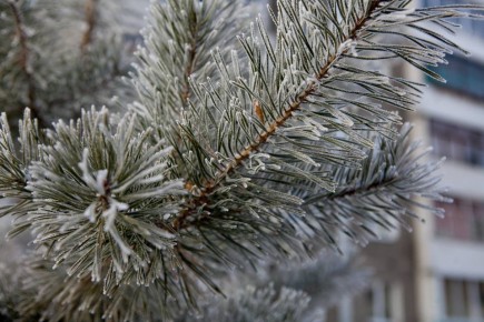 Доброе утро!. Пятница на сей раз особенно прекрасна, ведь рабочие будни пролетели незаметно, и мы почти не устали, да же? Сегодня будет пасмурно, небольшой снег, температура около 0 градусов и ветер северо-западный 4 метра в...