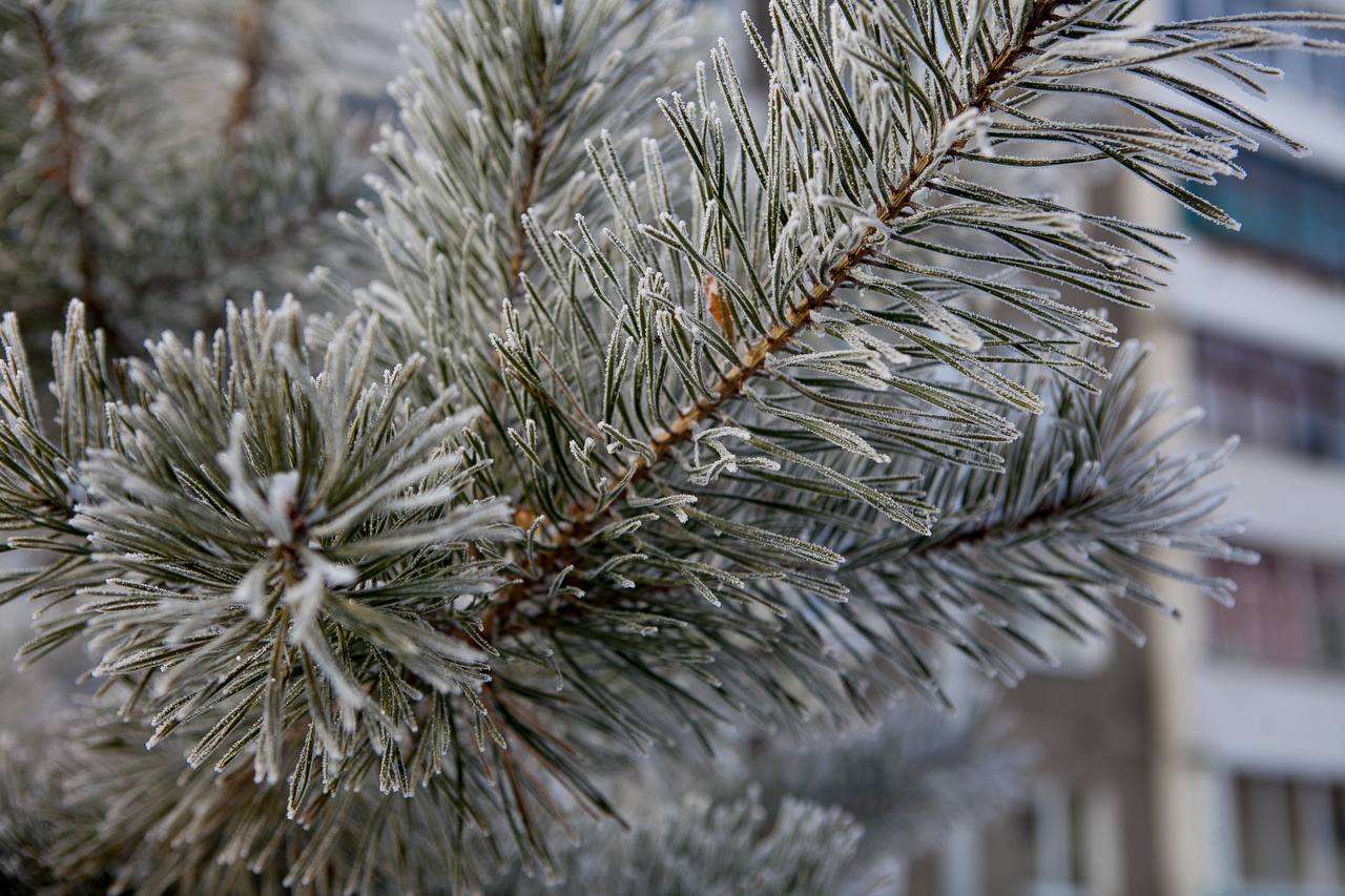 Доброе утро!. Пятница на сей раз особенно прекрасна, ведь рабочие будни пролетели незаметно, и мы почти не устали, да же? Сегодня будет пасмурно, небольшой снег, температура около 0 градусов и ветер северо-западный 4 метра в...