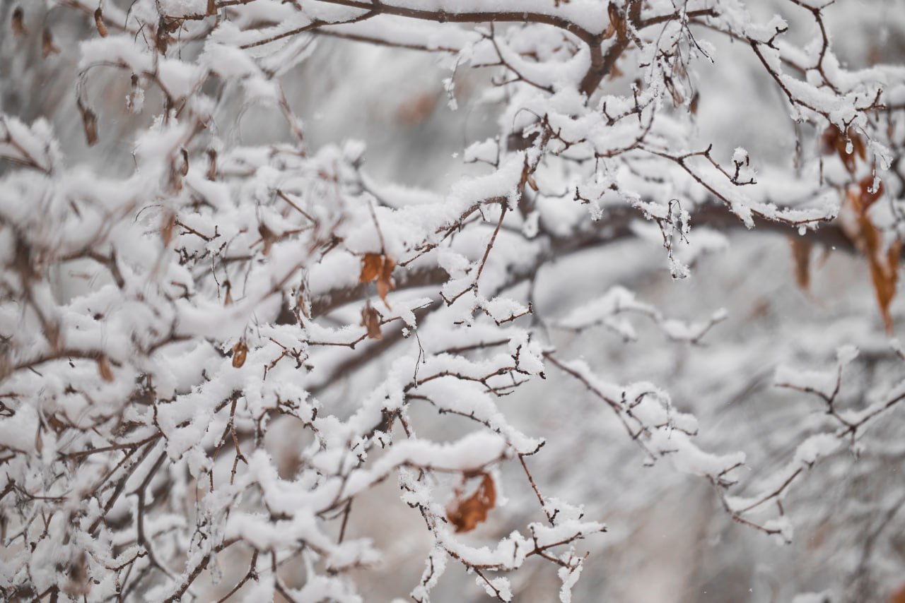 На улице-то что творится На улице-то что творится