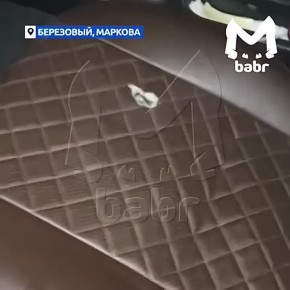 Обнаглевшие крысы едят авто в Иркутске