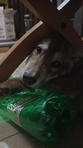 Доброе утро, Иркутская область!