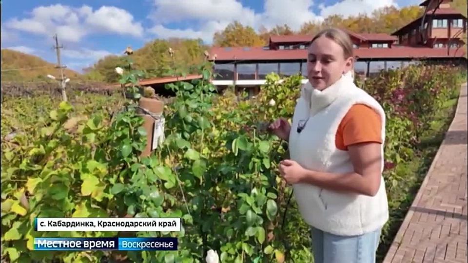 Курорт вне сезона. Геленджик развивает круглогодичный туризм — в прошлом году город принял около 4 миллионов гостей, теперь идет на новый рекорд Читать полностью на сайте «Вести-Иркутск»