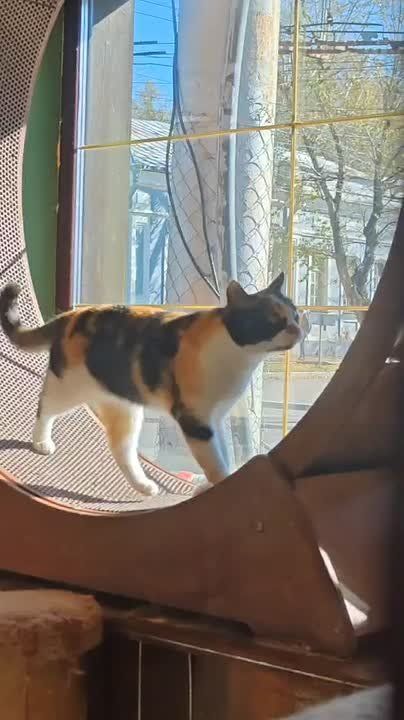 Доброе утро, Иркутская область!