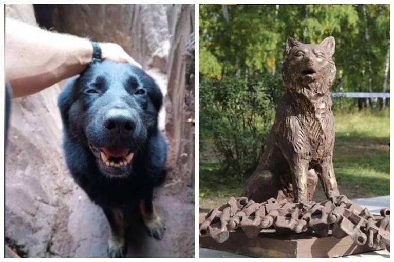 В военном городке Средний Усольского района стоит памятник: собака, сидящая на гусенице танка