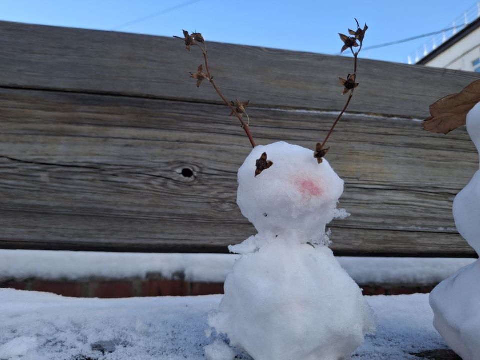 Первый снег в Иркутске:. время неуклюжего очарования