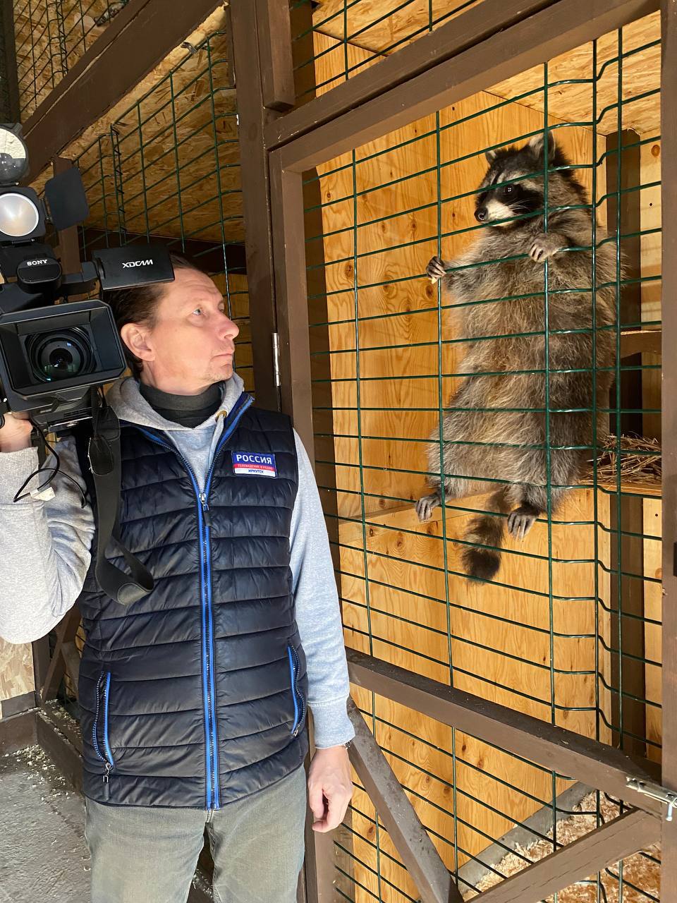 Молодую неясыть выхаживают в Сибирском зоопарке после травмы