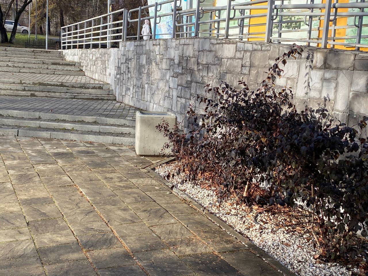 Академгородок хорошеет: преображение центральной площади Академгородок хорошеет: преображение центральной площади