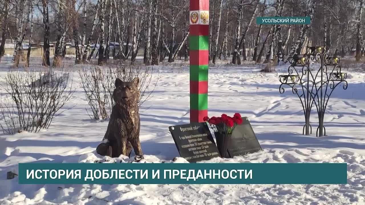 История доблести и преданности