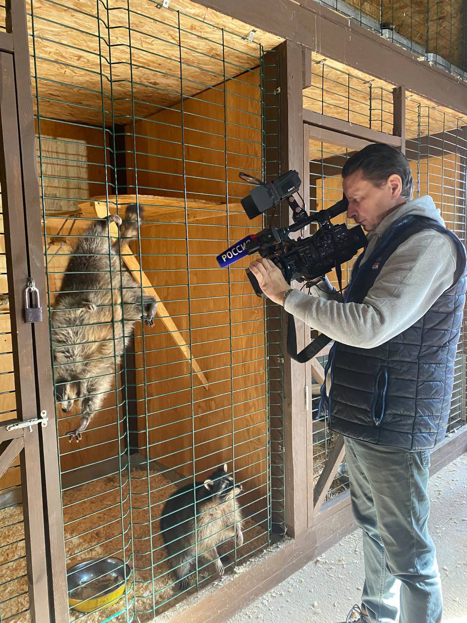 Молодую неясыть выхаживают в Сибирском зоопарке после травмы Молодую неясыть выхаживают в Сибирском зоопарке после травмы