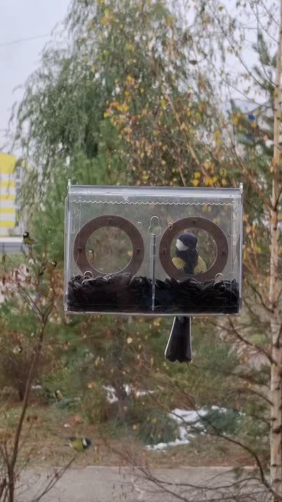 , 12        ,  !   ,            