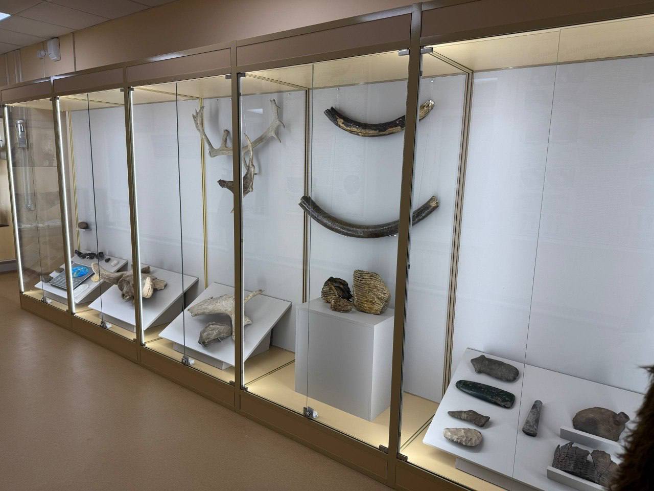 В Железногорске-Илимском обновили краеведческий отдел музея