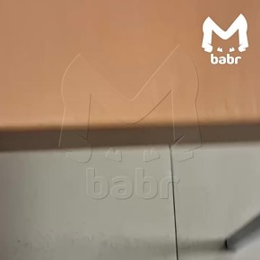 Тараканов на обед подают детям в школе Бурятии