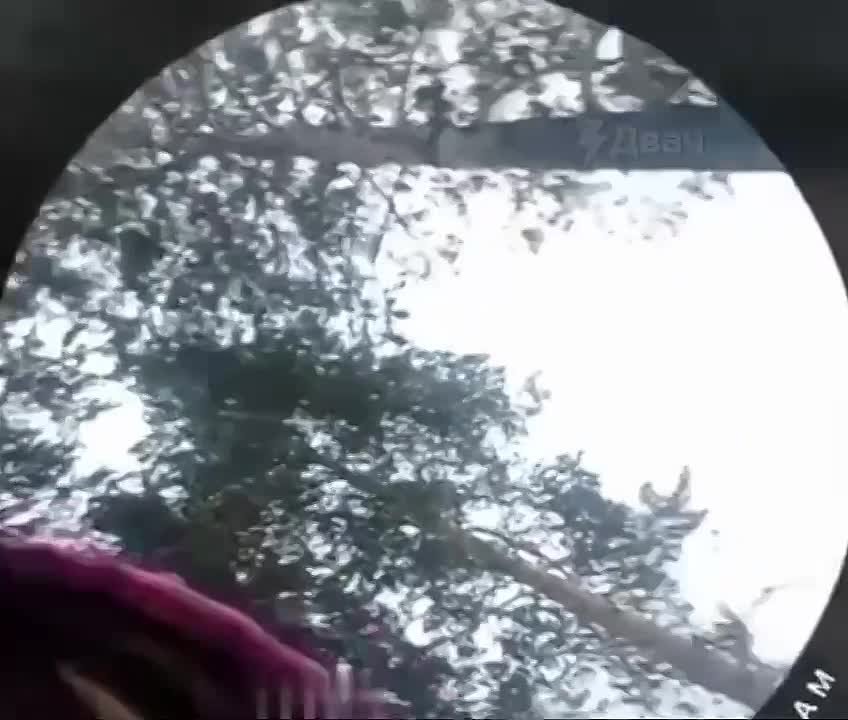 Марина Ахмедова: В Большом Лугу Шелеховского района Иркутской области подростки избили 13-летнюю девочку и прижгли ей ноги утюгом