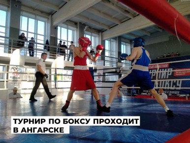 Открытый областной турнир по боксу памяти Анатолия Романовича Караваева собрал в Ангарске 150 юных спортсменов