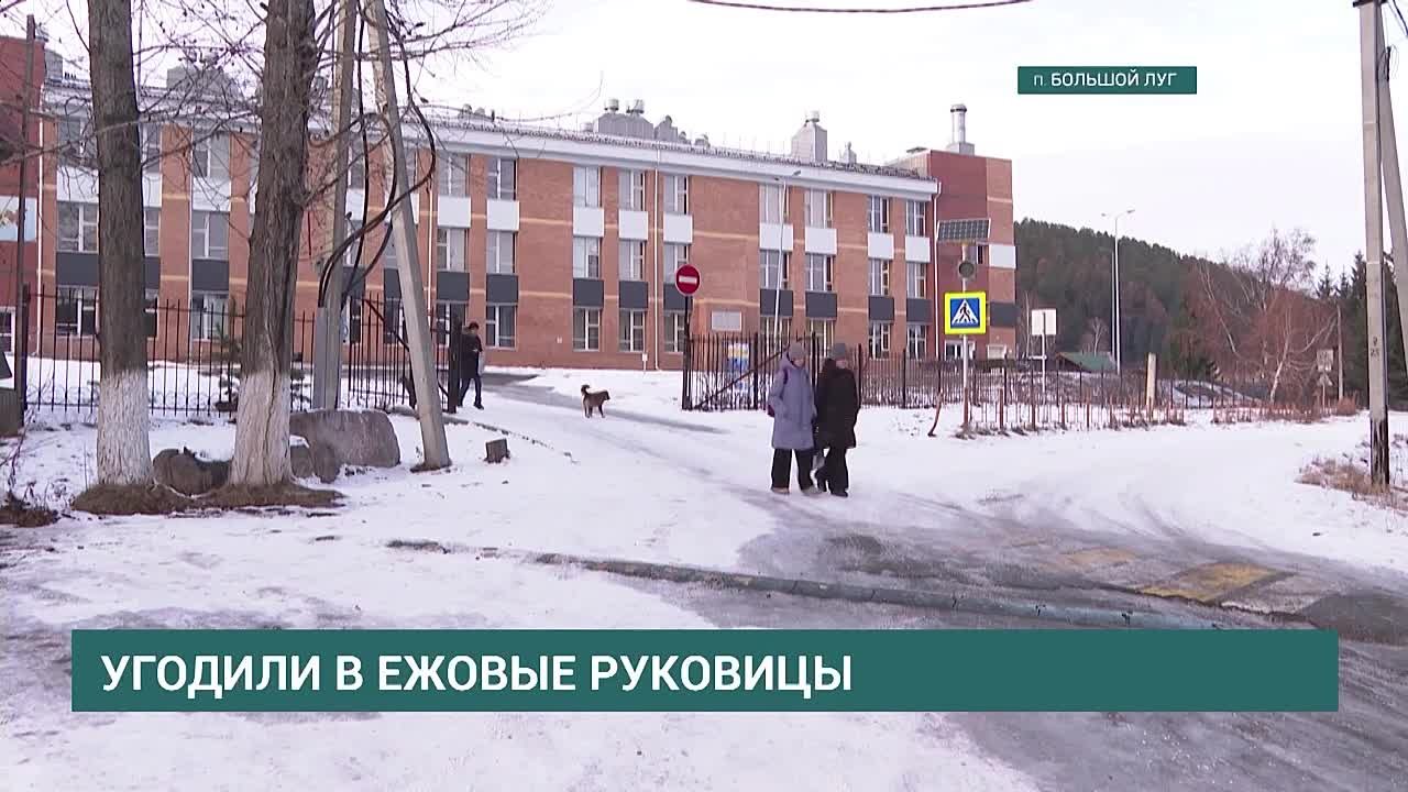 Угодили в ежовые рукавицы. Разобраться с каждым индивидуально