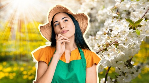 Дерево отцвело, а плоды не завязались: вот как можно решить проблему