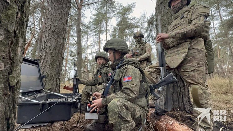 Военкор KP.RU Александр Коц: как саперы КНДР очищают Курскую землю от натовских снарядов Военкор KP.RU Александр Коц: как саперы КНДР очищают Курскую землю от натовских снарядов