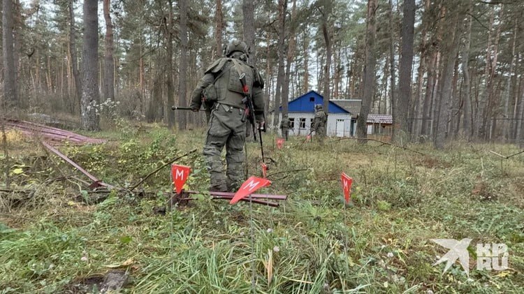 Военкор KP.RU Александр Коц: как саперы КНДР очищают Курскую землю от натовских снарядов Военкор KP.RU Александр Коц: как саперы КНДР очищают Курскую землю от натовских снарядов