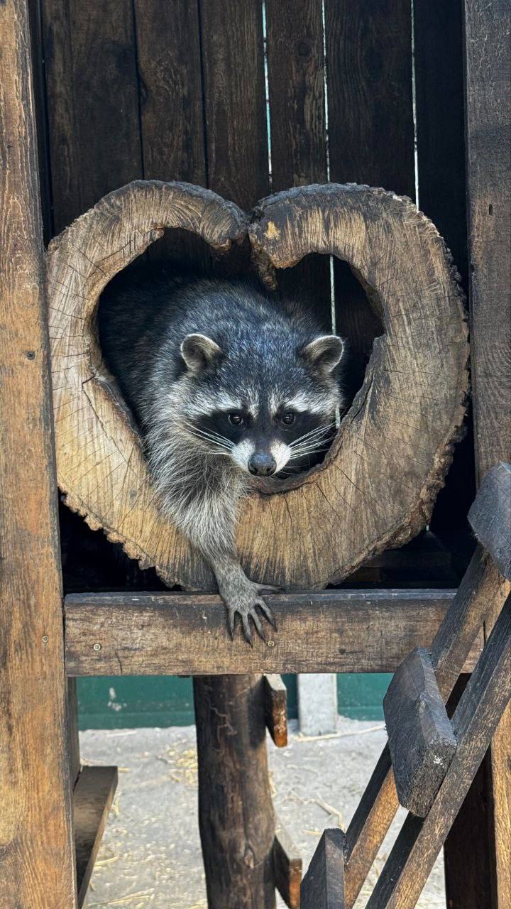 Доброе утро, Приангарье. Начинаем день с прогноза погоды: нас ждёт снежное утро и день Доброе утро, Приангарье. Начинаем день с прогноза погоды: нас ждёт снежное утро и день