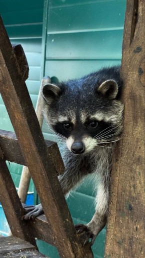 Доброе утро, Приангарье. Начинаем день с прогноза погоды: нас ждёт снежное утро и день