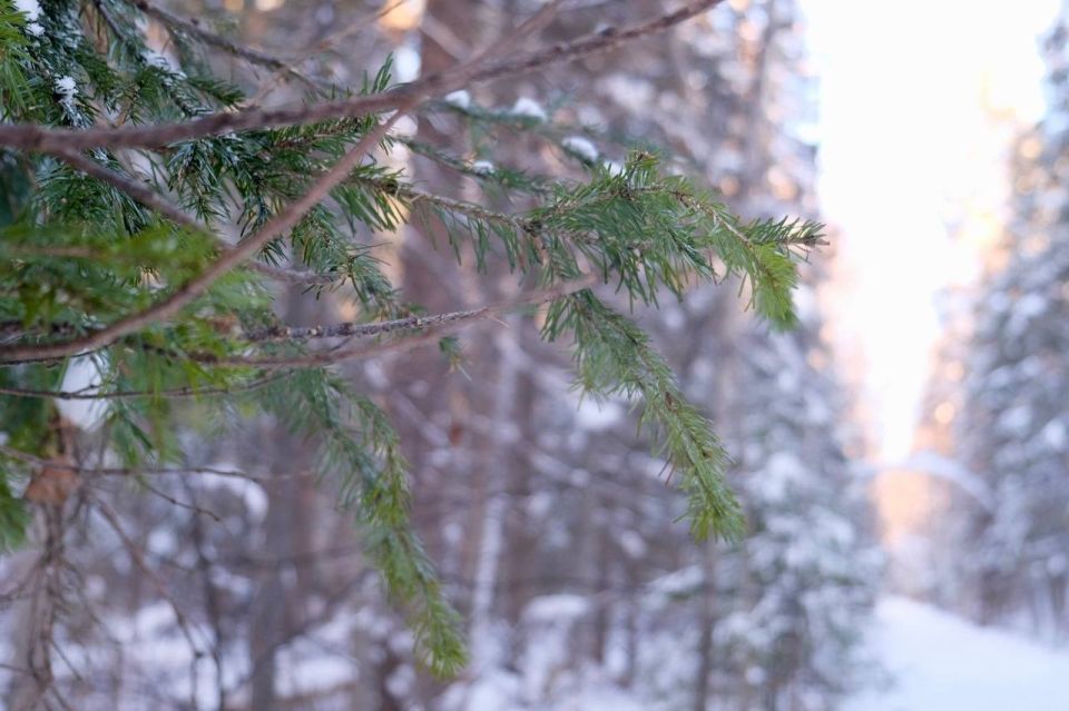  , .      ,    15-18 /