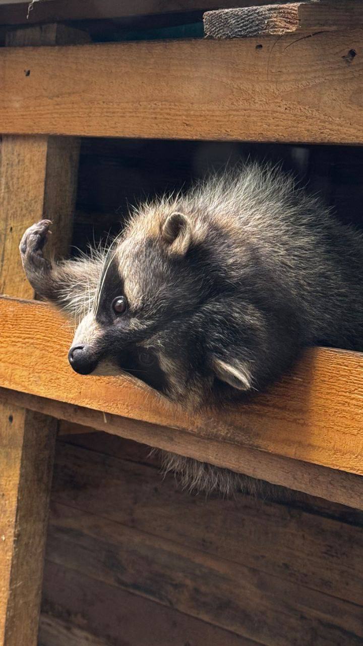 Доброе утро, Приангарье. Начинаем день с прогноза погоды: нас ждёт снежное утро и день Доброе утро, Приангарье. Начинаем день с прогноза погоды: нас ждёт снежное утро и день