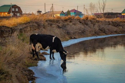 Доброе утро, Иркутская область!