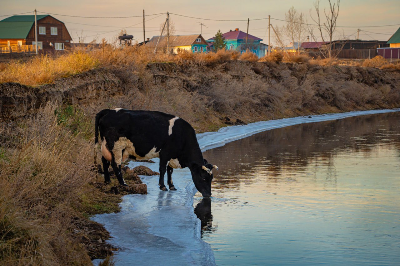 Доброе утро, Иркутская область!