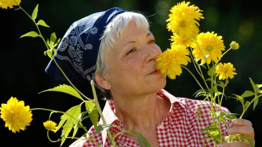 Успейте посеять эти роскошные цветы уже сейчас: соседи обзавидуются красоте клумбы