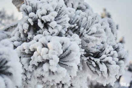 В эти выходные пришла настоящая зимняя кутерьма