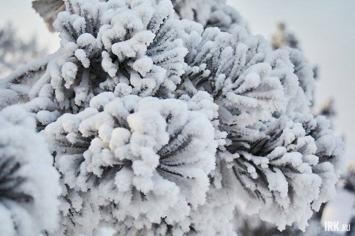В эти выходные пришла настоящая зимняя кутерьма