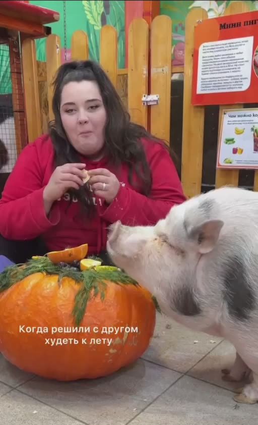 Настроение на выходные от Сибирского зоопарка