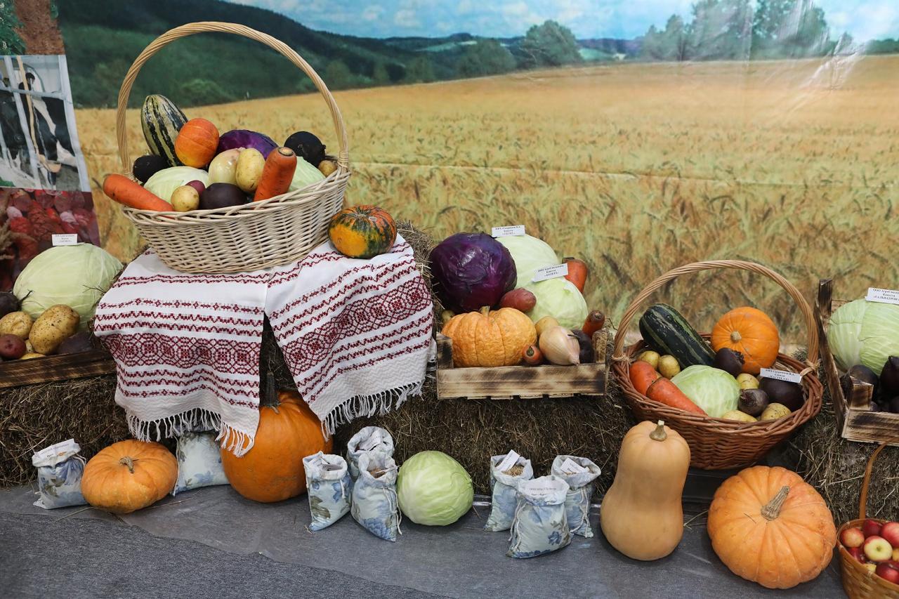 Урожайное Приангарье. Самая вкусная выставка, новые рынки сбыта сельхозпродукции и создание агроклассов – в Иркутске прошла традиционная «Агропромышленная неделя» Урожайное Приангарье. Самая вкусная выставка, новые рынки сбыта сельхозпродукции и создание агроклассов – в Иркутске прошла традиционная «Агропромышленная неделя»