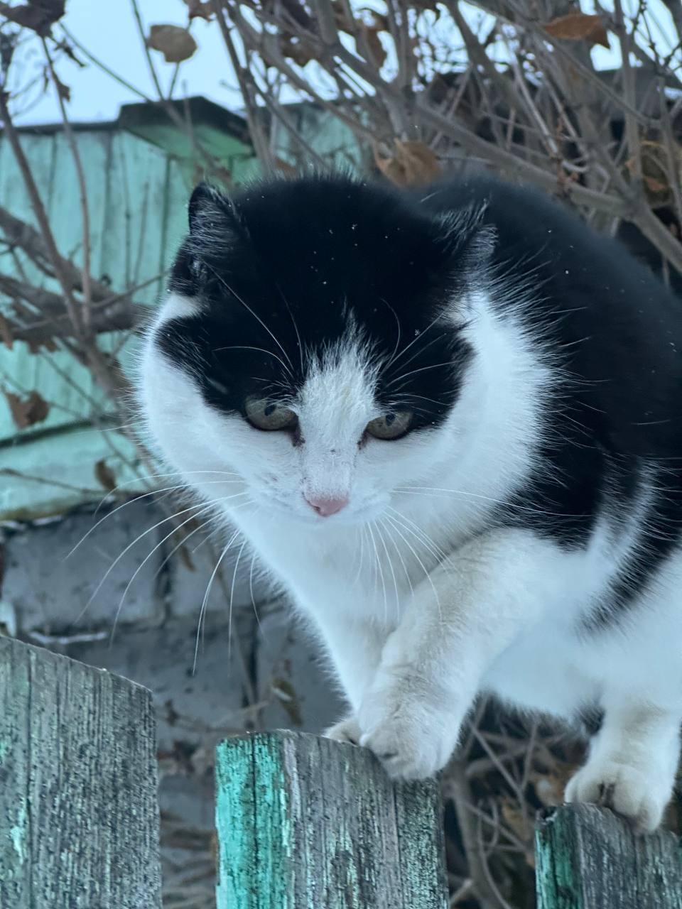 Доброе утро Доброе утро