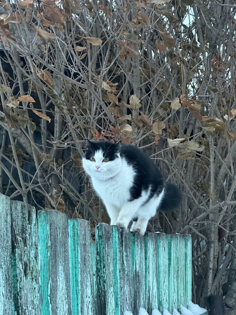 Доброе утро