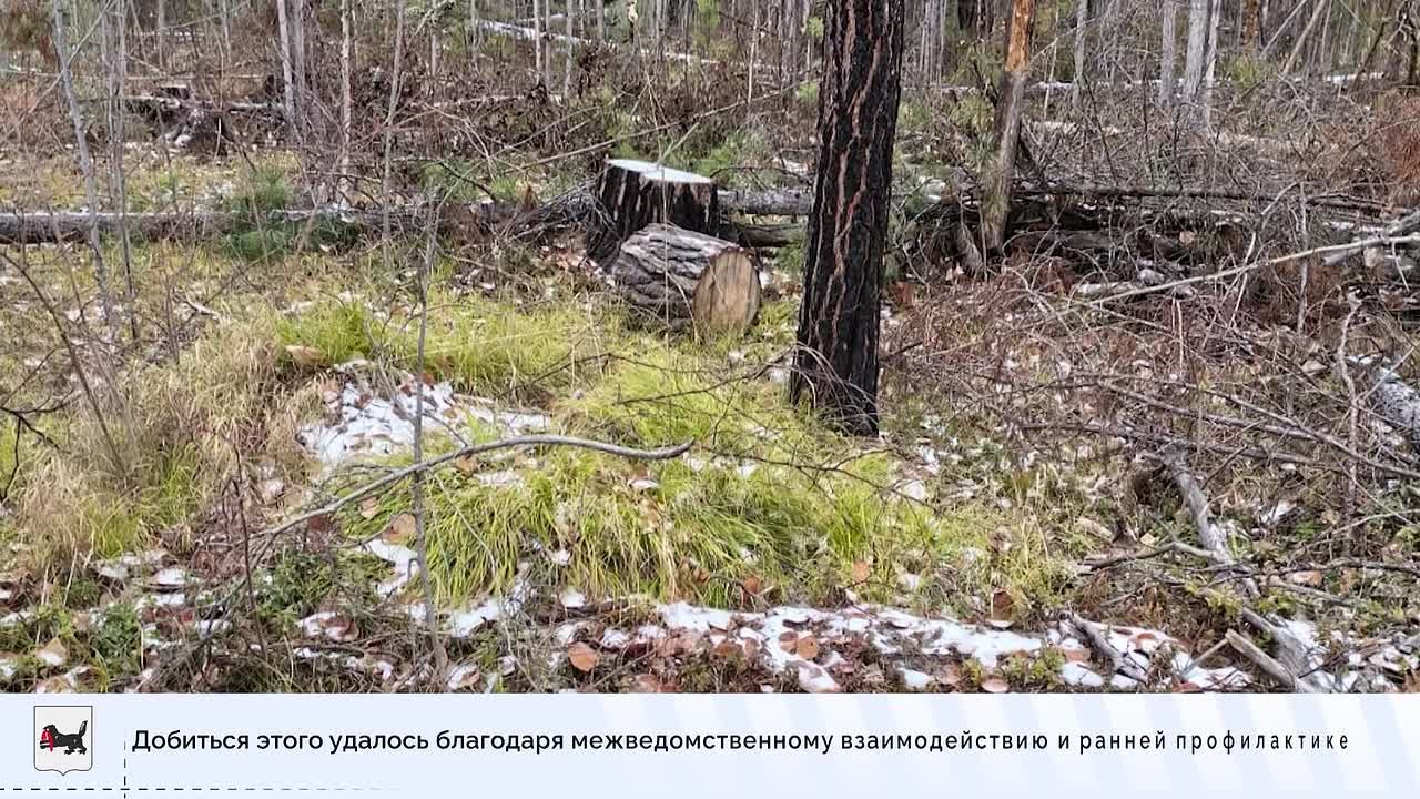 Главные события недели в Иркутской области: