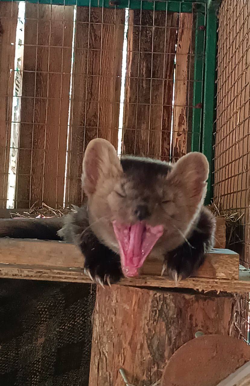 Доброй ночи, Иркутская область!