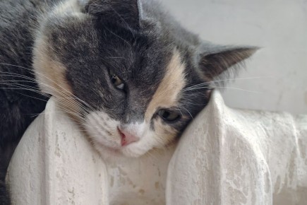 17 ноября в некоторых домах Иркутска ограничат теплоснабжение