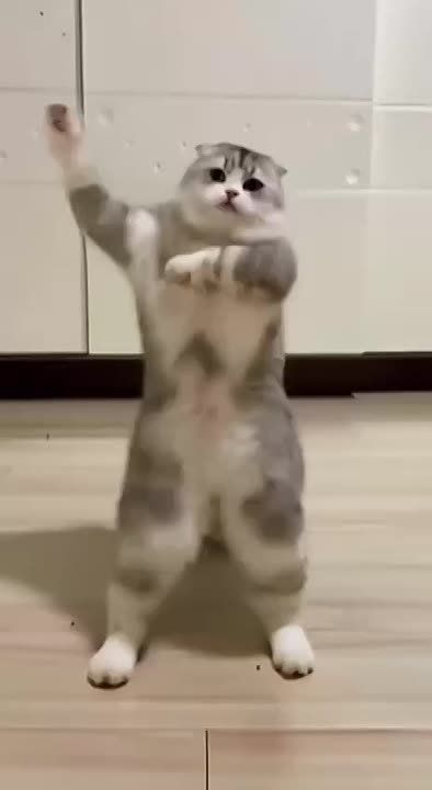 .        -      ,            ...