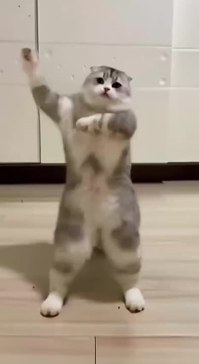 ОБСУДИМ. Депутаты предложили ввести обязательную маркировку нейросетевых видео «ИИ-ролики без пометки легко использовать для манипуляций, поэтому предлагается добавлять постоянный визуальный знак и метку в метаданных с датой...