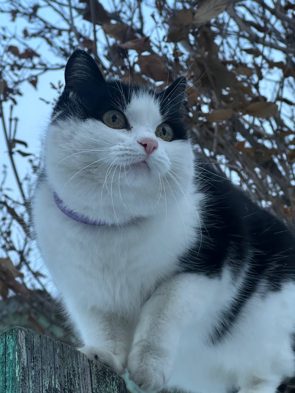 Доброе утро Доброе утро