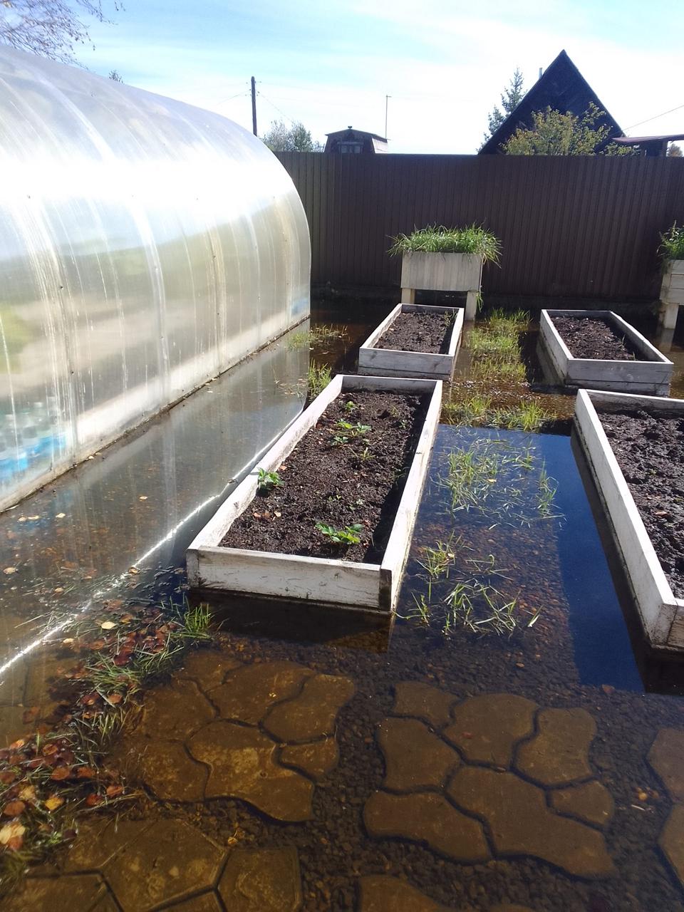 Жизнь на болоте. Владельцы садовых участков СНТ «Сосновый бор» в Усольском районе год от года бросают дачи или продают за бесценок Жизнь на болоте. Владельцы садовых участков СНТ «Сосновый бор» в Усольском районе год от года бросают дачи или продают за бесценок