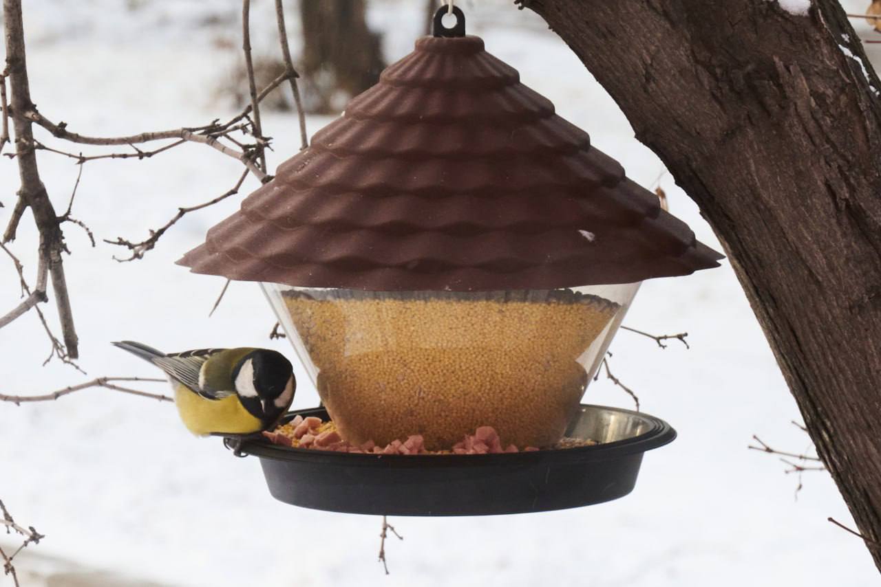 Доброе утро!. Не верится, но ноябрь уже перевалил за половину