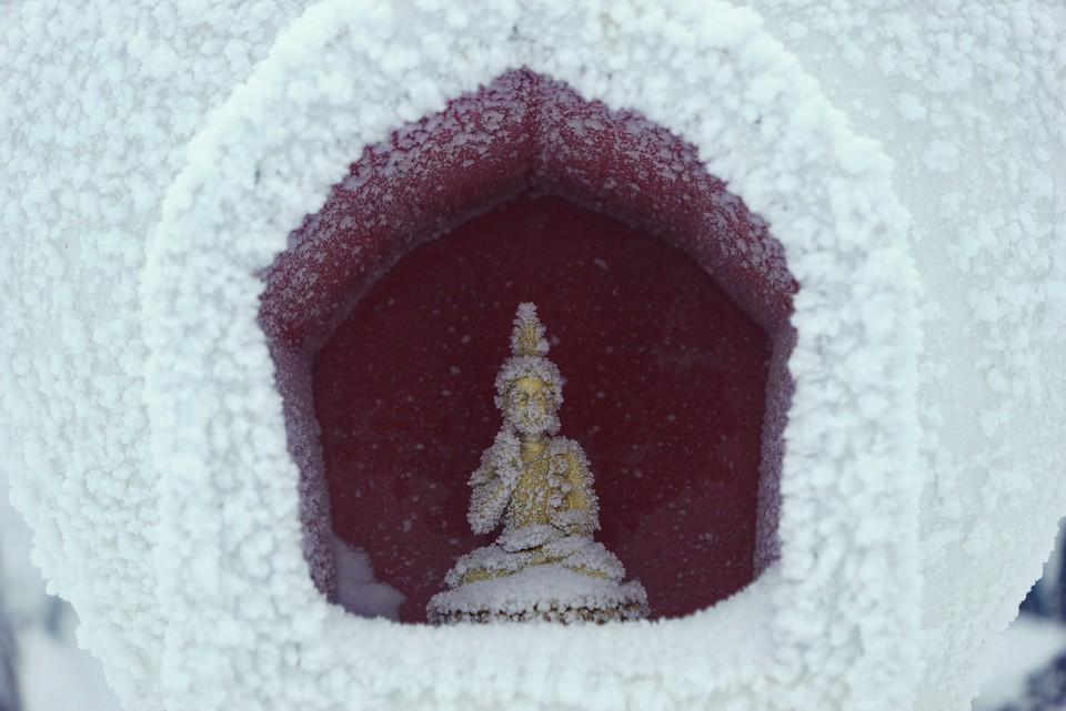 Зурхай на 17 ноября. Хороший день для животноводства, растениеводства, культуры, науки, торговли и военных дел