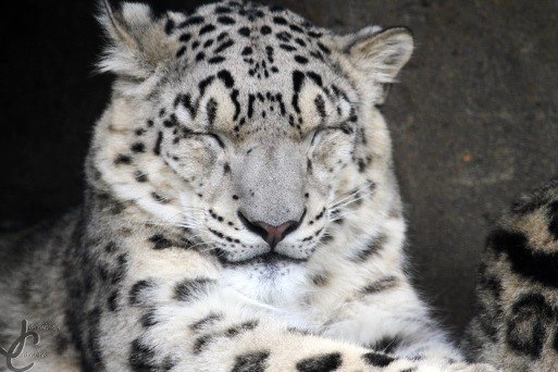 Доброй ночи, Иркутская область!