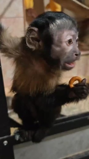 С добрым утром. Сегодня в Иркутске днем будет облачно и до -2. Кажется, минусовые температуры окончательно закрепились в нашем регионе