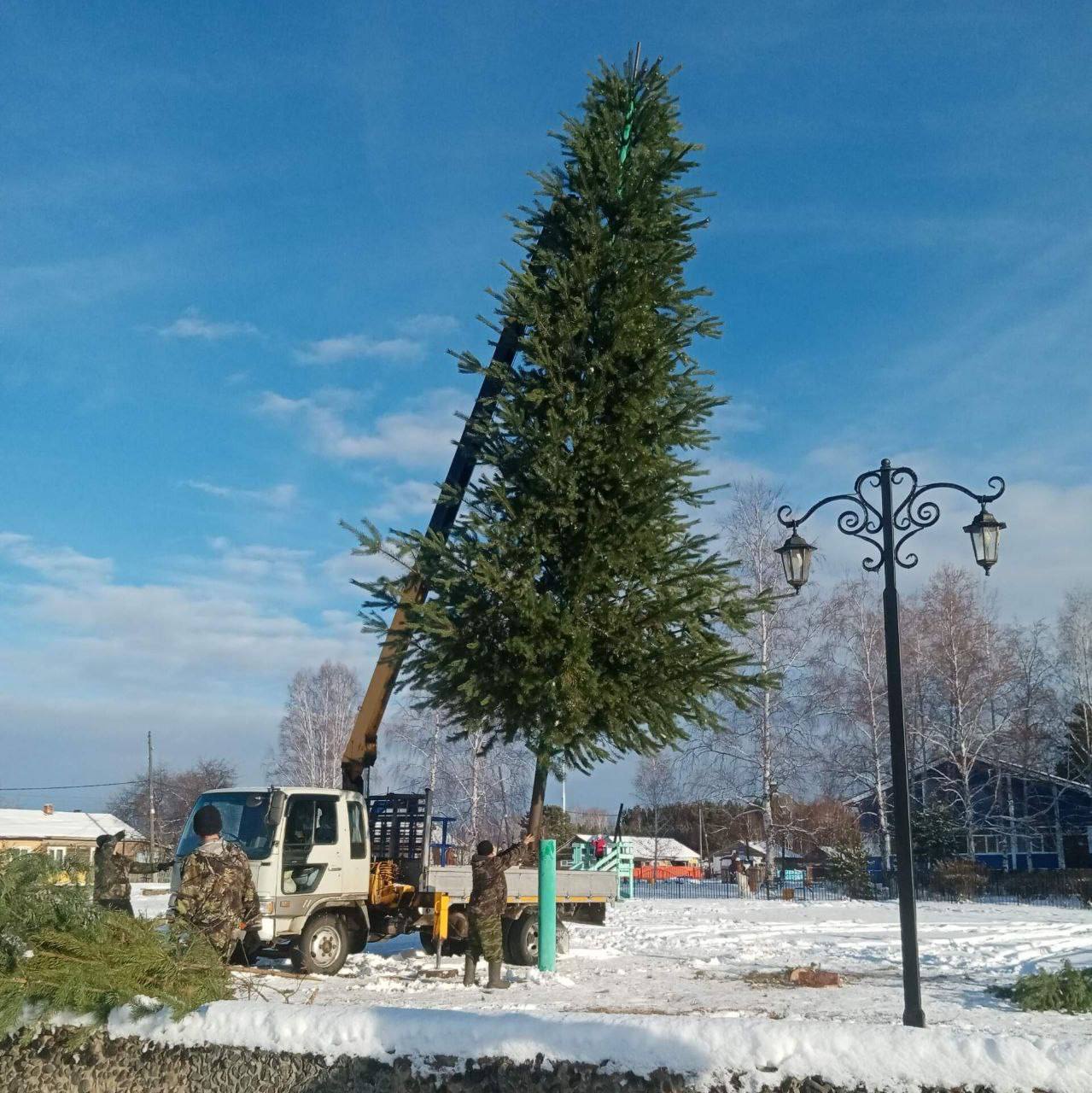 В Братском районе установили первую новогоднюю ёлку сезона