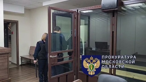Суд арестовал 31-летнюю женщину, жестко убившую своего сына в Балашихе