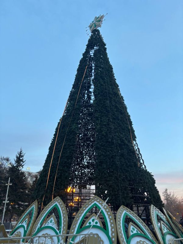 На Сквере Кирова начали монтировать новогоднюю ёлку!